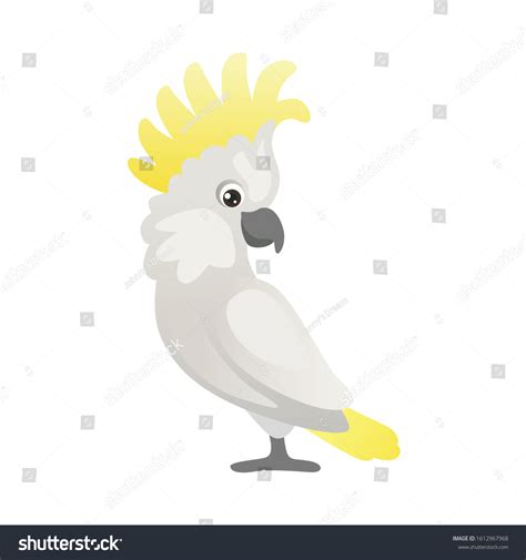 Funny Cute Cockatoo Parrot Isolated On Stock Vector (Royalty Free) 1612967968 | Shutterstock