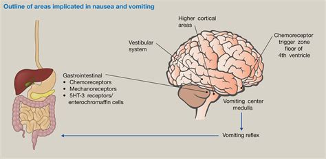 Physiology And Pharmacology Of Nausea And Vomiting Anaesthesia