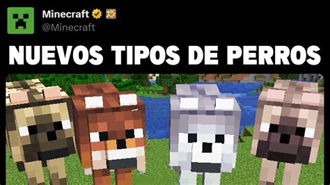 Nuevos Tipos De Lobos Y Perros Review Snapshot W A Minecraft