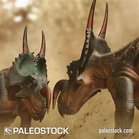 Einiosaurus Fighting stock image – Studio 252MYA