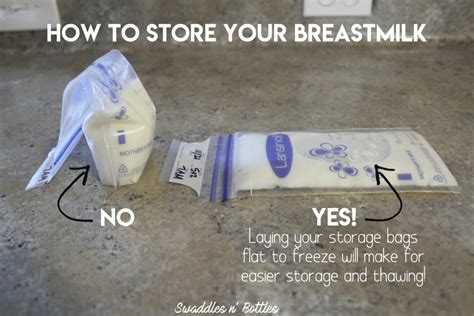 How To Properly Collect Store And Thaw Pumped Breastmilk Swaddles N