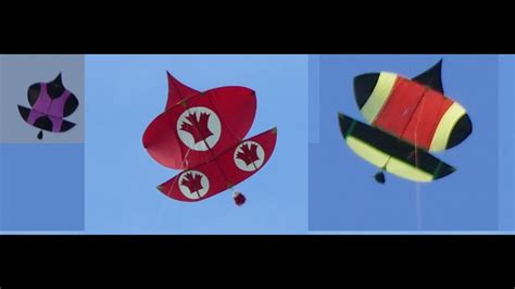 Patang Bazi Canada Kite Fighting Kite Flying Pipa Combate I Basant