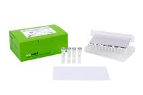 Accupower Greenstar Rt Qpcr Premix Master Mix