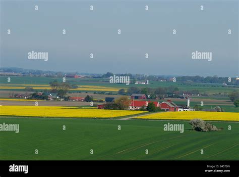 Landscape southern Sweden Stock Photo - Alamy