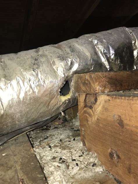 Leaking Ductwork Can Cost You Money Home Inspectors In Ocoee Fl