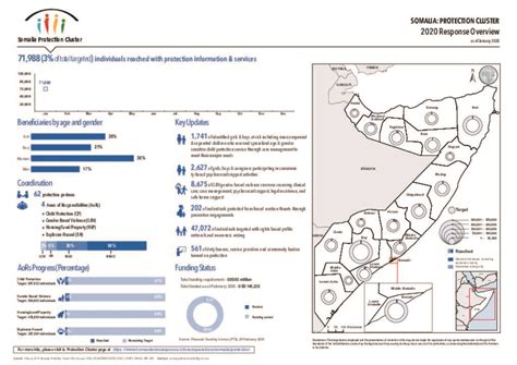 Document UNHCR Somalia Protection Cluster Dashboard January 2020