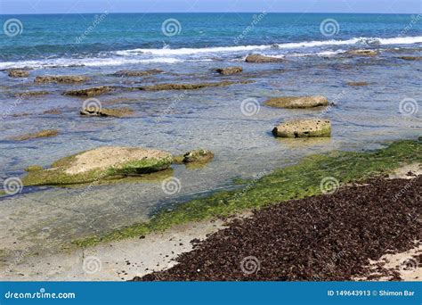 Costa Do Mar Mediterr Neo Em Israel Imagem De Stock Imagem De Nuvens