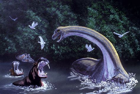 Jurassic Albatross: More living dinosaurs; the Mokele Mbembe