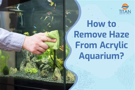 How To Remove Haze From Acrylic Aquarium Titan Aquatic Exhibits