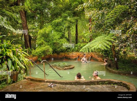 Portugal Azores Sao Miguel Island Furnas Hot Springs In Terra