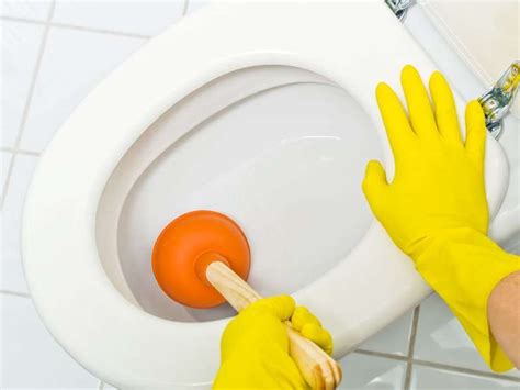 My Toilet Wont Drain How To Unclog A Toilet Bradford Plumbing