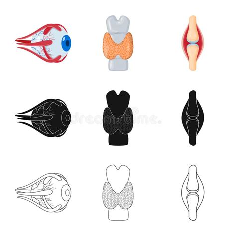 Vector Design Of Biology And Scientific Symbol Set Of Biology And