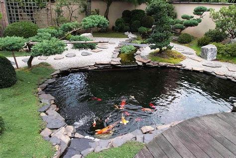 20+ Pictures Of Small Backyard Fish Ponds