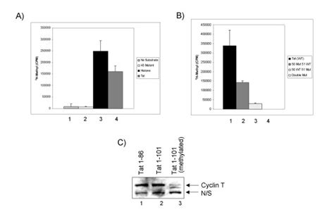 In Vitro Methyltransferase Assays With Setdb1 Reveal Preferential