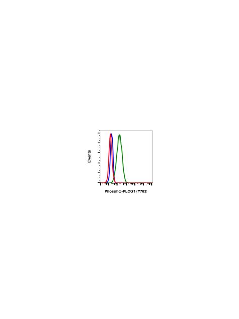 Phospho PLCg1 Y783 Recombinant MAb Abwiz Bio