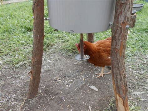 Mangeoire Poule Fait Maison Ventana Blog