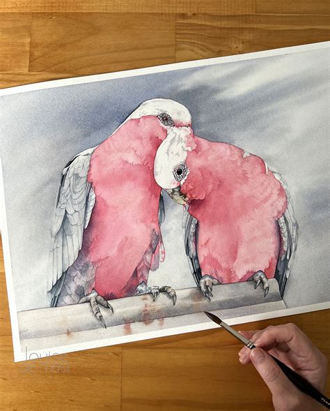 Playful Galahs Watercolour Painting By Louise De Masi Tickled Pink