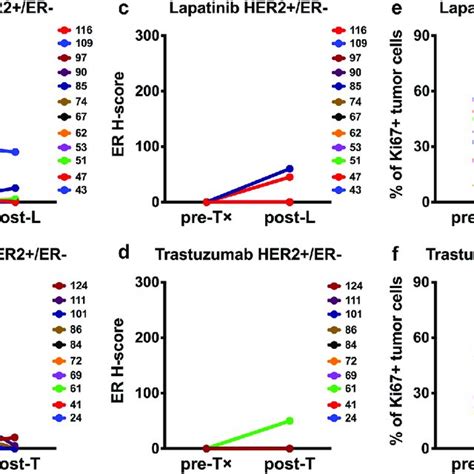 Her Er Comparison Of Bcl Er And Ki Protein Levels Pre And