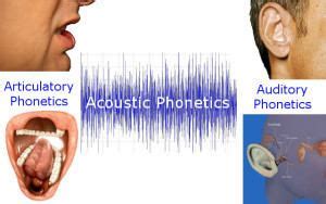 Auditory phonetics - Alchetron, The Free Social Encyclopedia