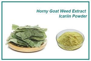 Top Quality Horny Goat Weed Extract Icariin Powder Manufacturers