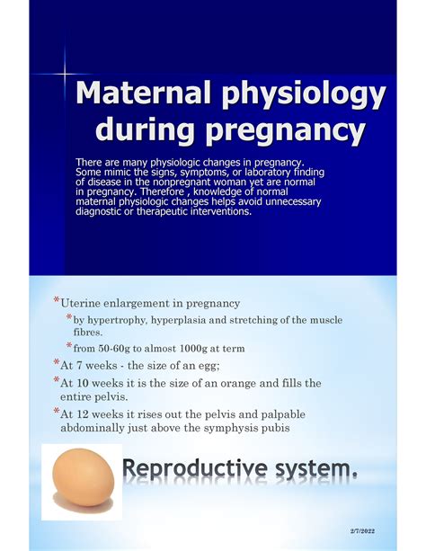 Maternal Physiology During Pregnancy Maternal Physiology During