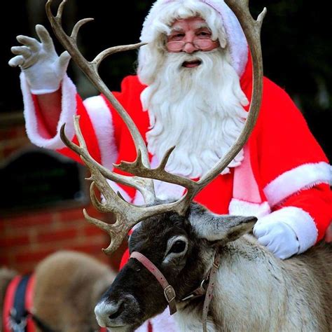 Christmas In Kent 2021 The Reindeer Centres Christmas Grotto In