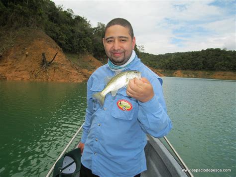 Espacio De Pesca Pesca De Mojarra Black Bass Y Tilapia En Guatape