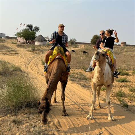 3 Days Jodhpur Desert Safari Tour by Jodhpur Trip Plan for 3 days