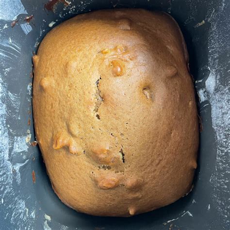 Bread Machine Pumpkin Bread - Culinary Shades