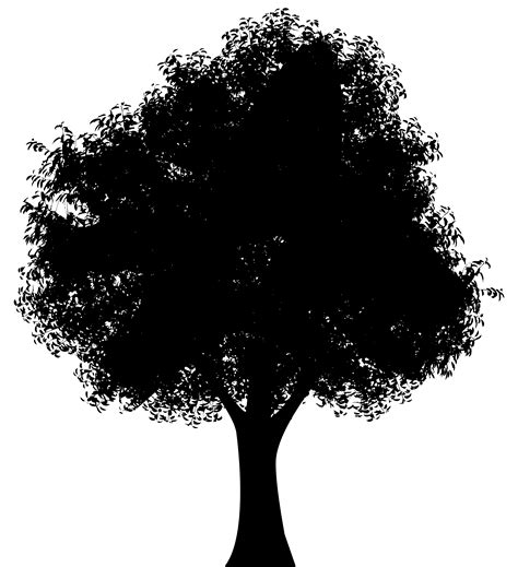 Tree PNG Silhouette Clip Art Image | Gallery Yopriceville - High ...