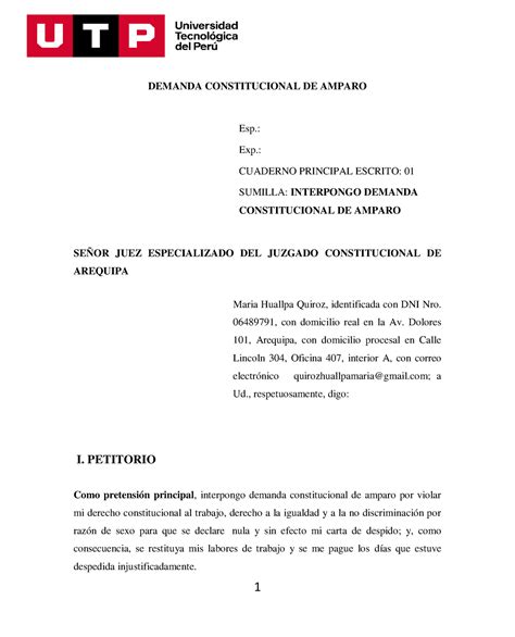 Demanda Constitucional De Amparo Demanda Constitucional De Amparo Esp Exp Cuaderno