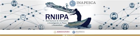 Instituto Nacional De Pesca Gobierno Gob Mx