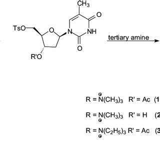 Scheme 1. Synthesis of quaternary ammonium salts from 5'-O− tosyl ...