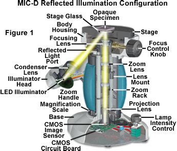 Molecular Expressions Science Optics You Olympus Mic D Anatomy