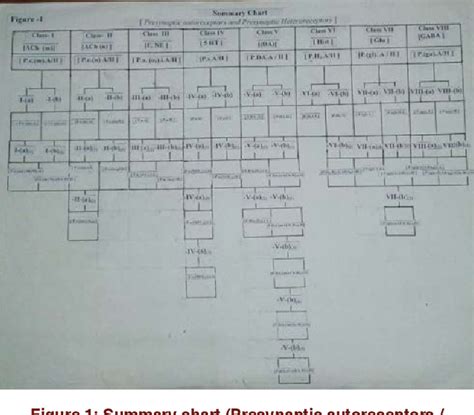 Table 1 From Perspectives Of Presynaptic Autoreceptors And Presynaptic