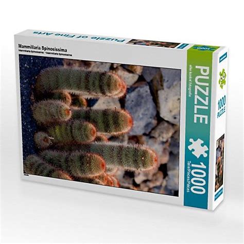 Puzzle Mammillaria Spinosissima Foto Puzzle Bild Von Elke Kunkel