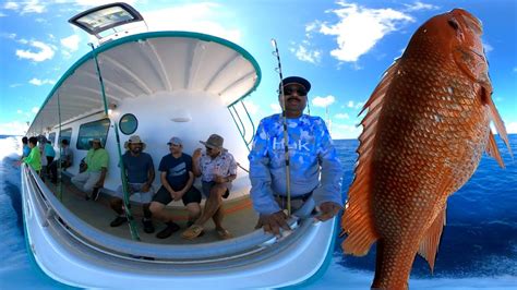 Deep Sea Fishing 2022 Galveston Party Boats Youtube