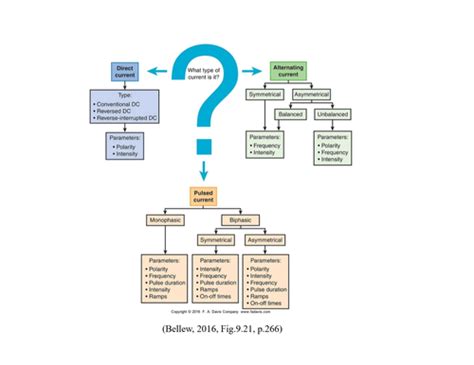 LE Exam 2 Surgeries NMES Peds Flashcards Quizlet