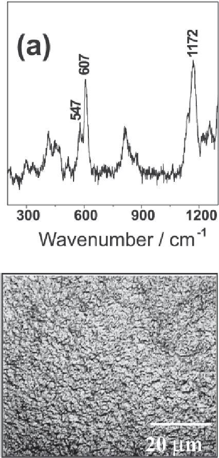 A Resonance Raman Spectra 0 632 8 Nm Of PANICSA HDPE 20 80