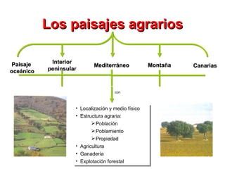 Paisajes Agrarios Espa Oles Ppt