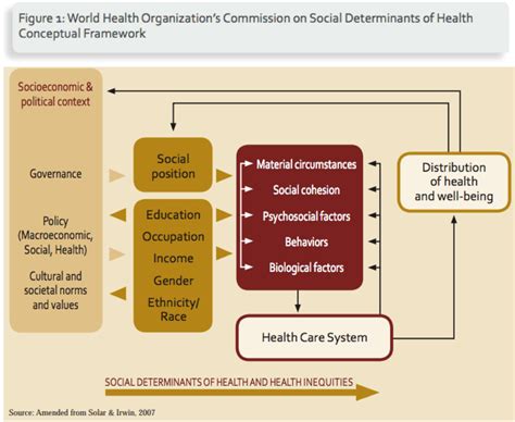 10 Social Determinants Of Health