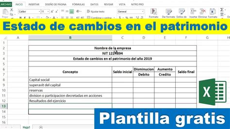 Estructura Del ESTADO DE CAMBIOS EN EL PATRIMONIO Plantilla GRATIS