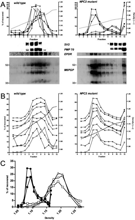 Subcellular Distribution Of Epdr And Organellar Markers In Wild Type