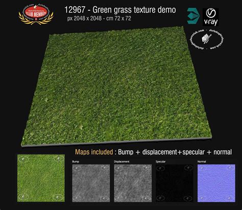 Amazing Green Grass Textures Seamless And Maps