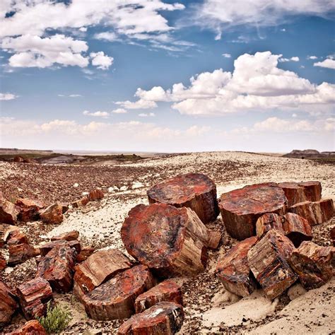 Route Painted Desert Petrified Forest Driving Tour Moon Travel