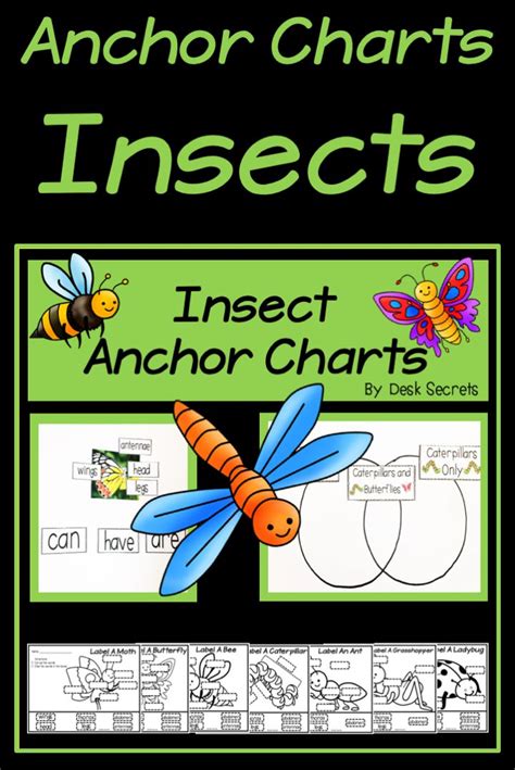 Insect Anchor Charts And Labeling Pages Anchor Charts Informational Writing Teaching