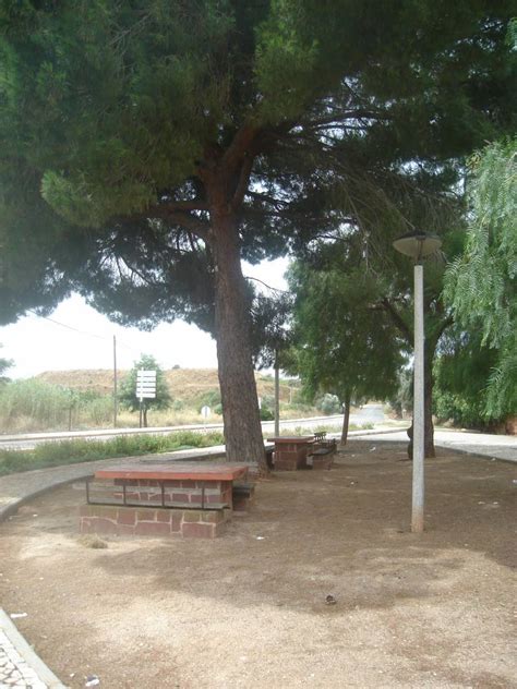 Parque De Merendas De Silves Silves All About Portugal