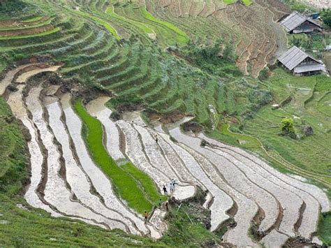 Sapa Private The Most Beautiful Terraced Fields Trekking Getyourguide