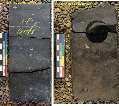 Limestone Facies Within The Pronghorn Member Of The Bakken Formation