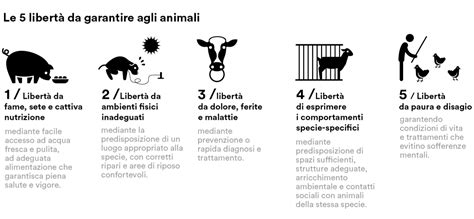 Il Benessere Animale Sostenibilità